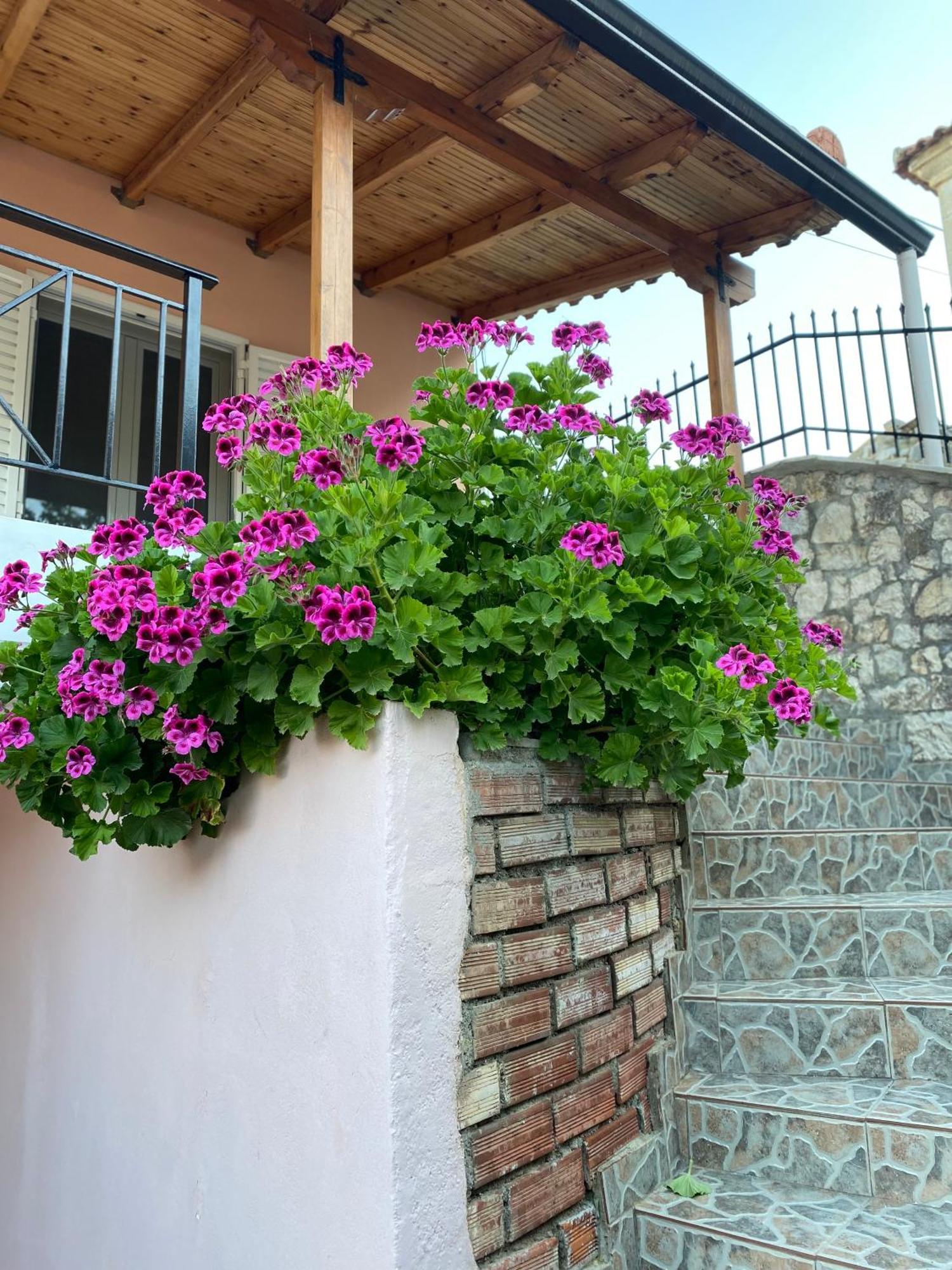 Villa Gkoros House Old Town Himarë Exterior foto